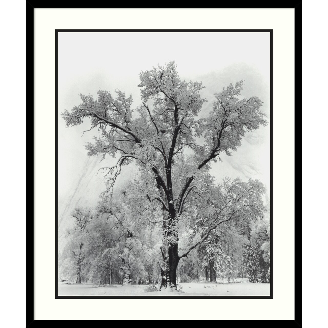 Oak Tree Snowstorm Yosemite National Park 1948 by Ansel Adams Wood Framed Wall Art Print 27 in. W x 32 in. H